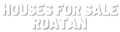 cropped site logo for roatan website.png